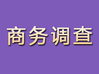 黄冈商务调查